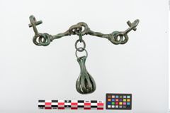 Foto von Bronzetrense (NHMW-PRAE-024293)